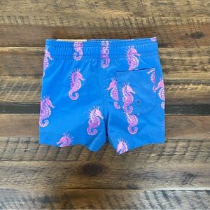 Chubbies kids swim trunks. Size 12 months.